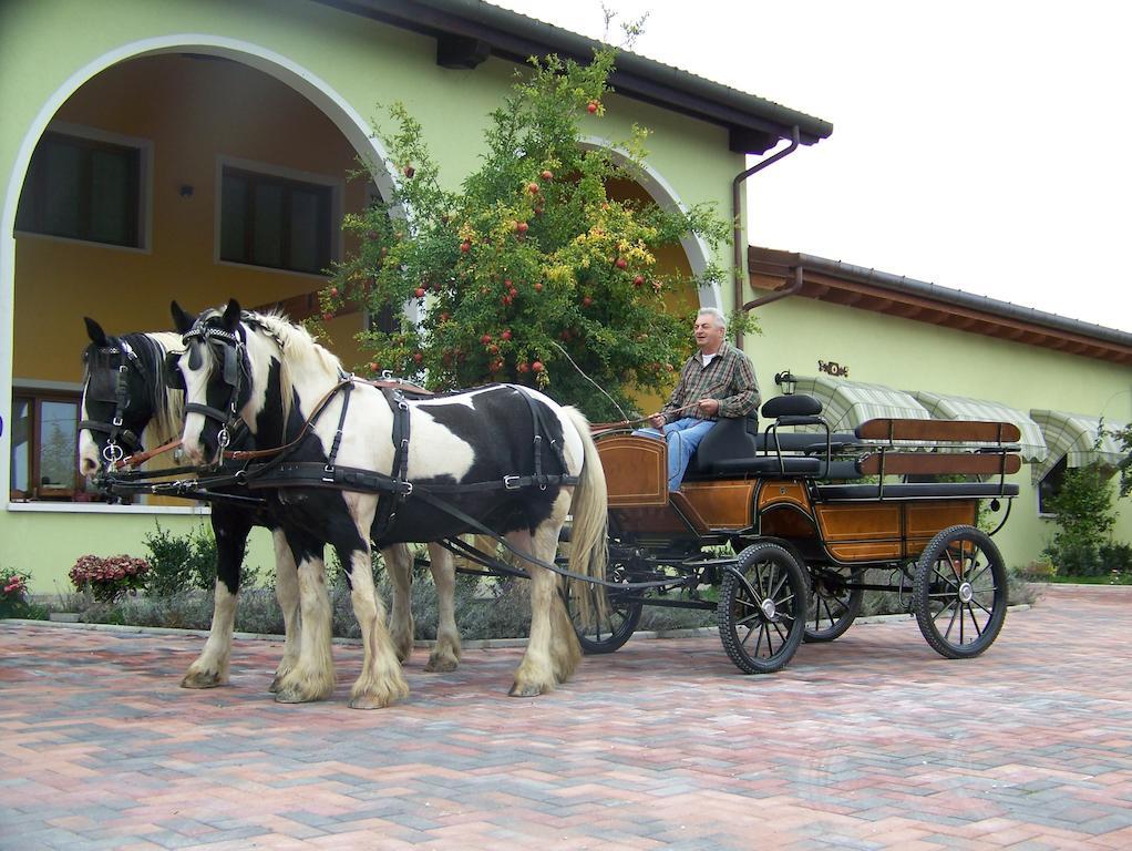 Agriturismo Nonna Rina San Liberale Eksteriør billede