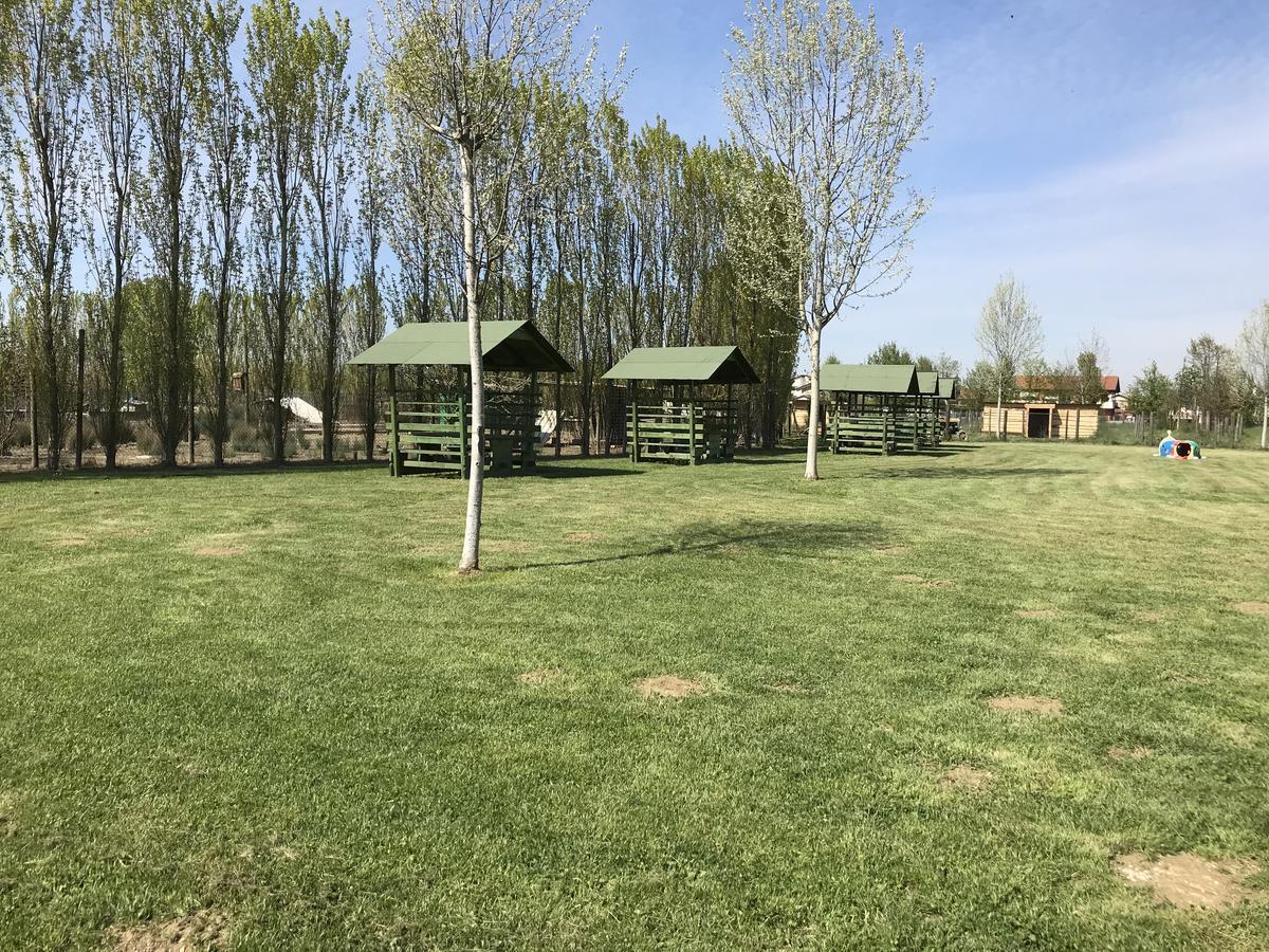 Agriturismo Nonna Rina San Liberale Eksteriør billede