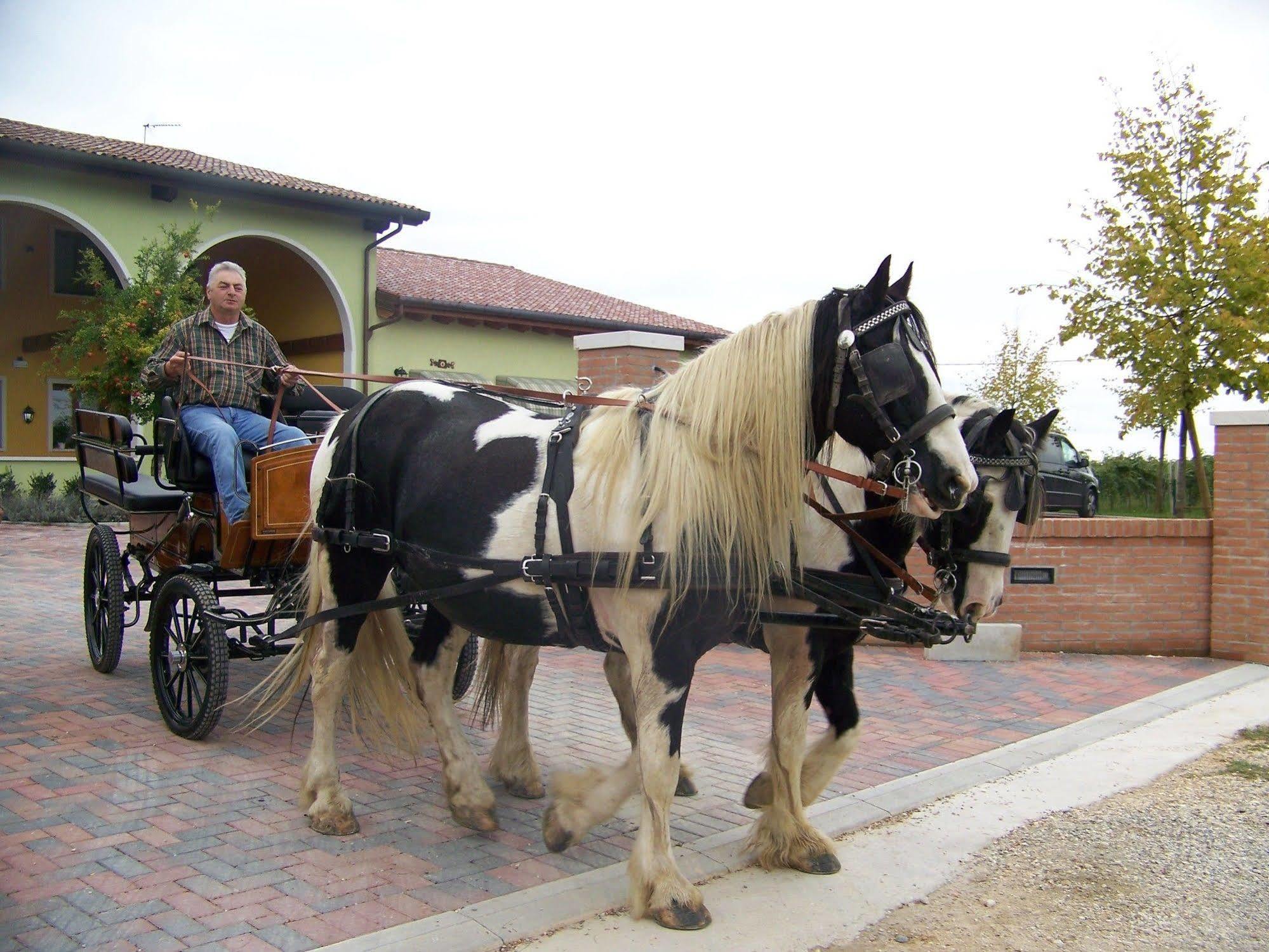 Agriturismo Nonna Rina San Liberale Eksteriør billede